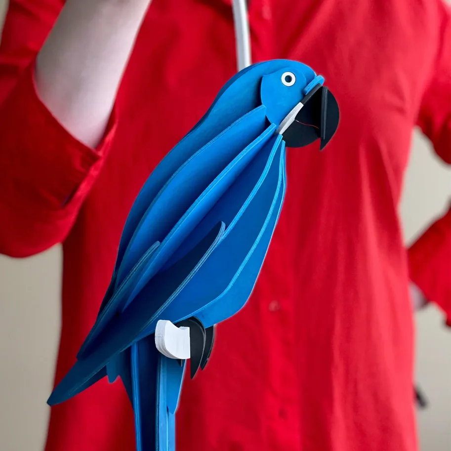 Papagei - Hyacinth Macaw