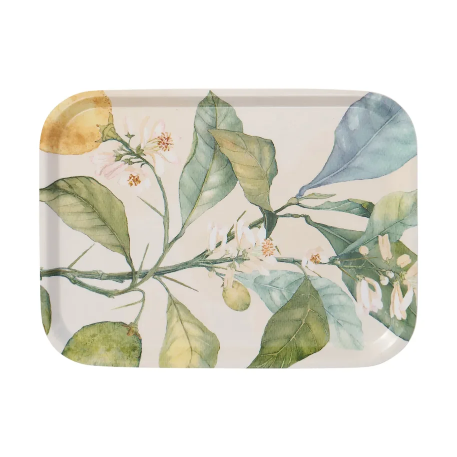 Serviertablett - Citrus - 20x27 cm