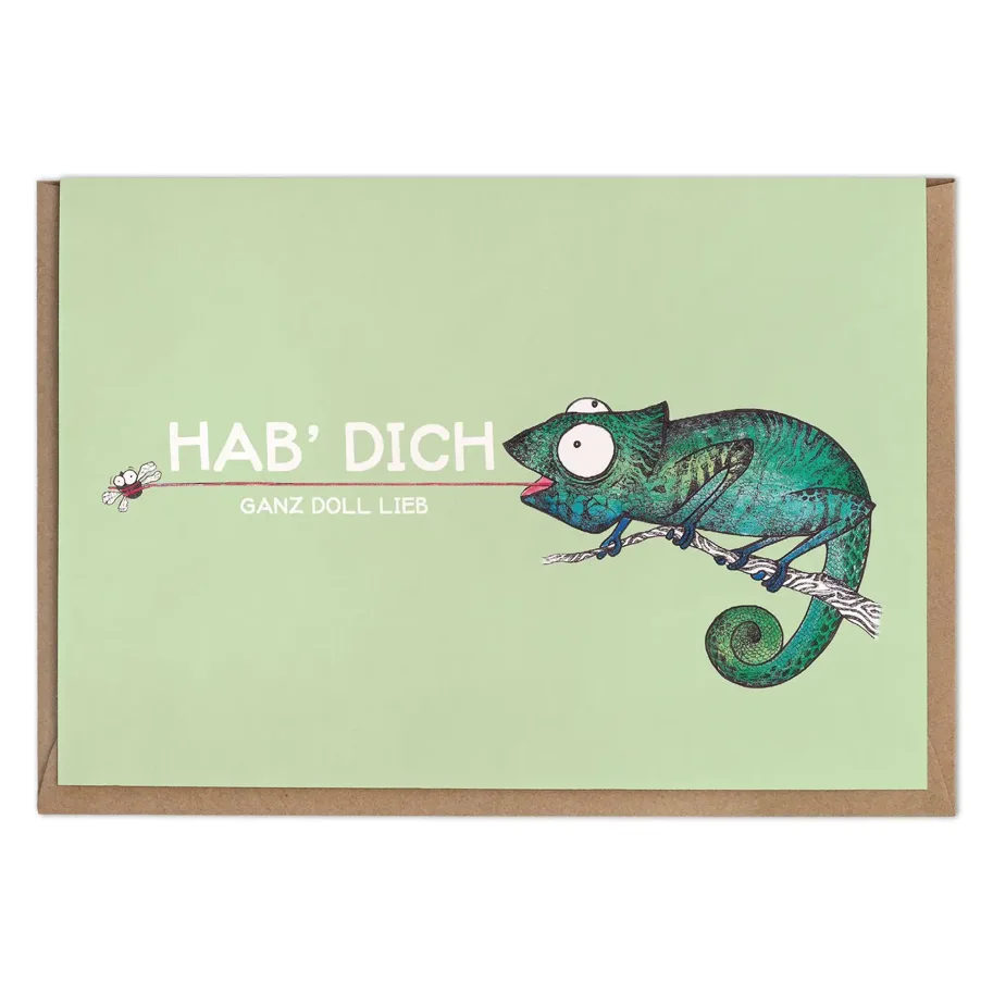 Klappkarte - Fliegenfänger