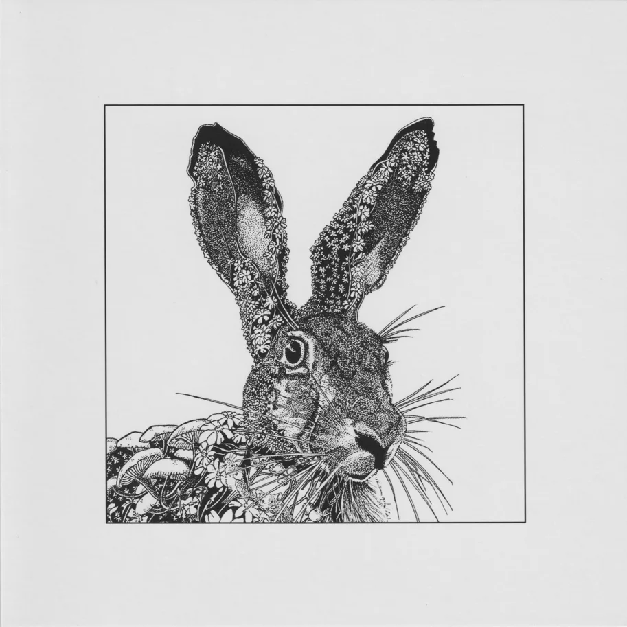 Klappkarte - Hare (portrait)