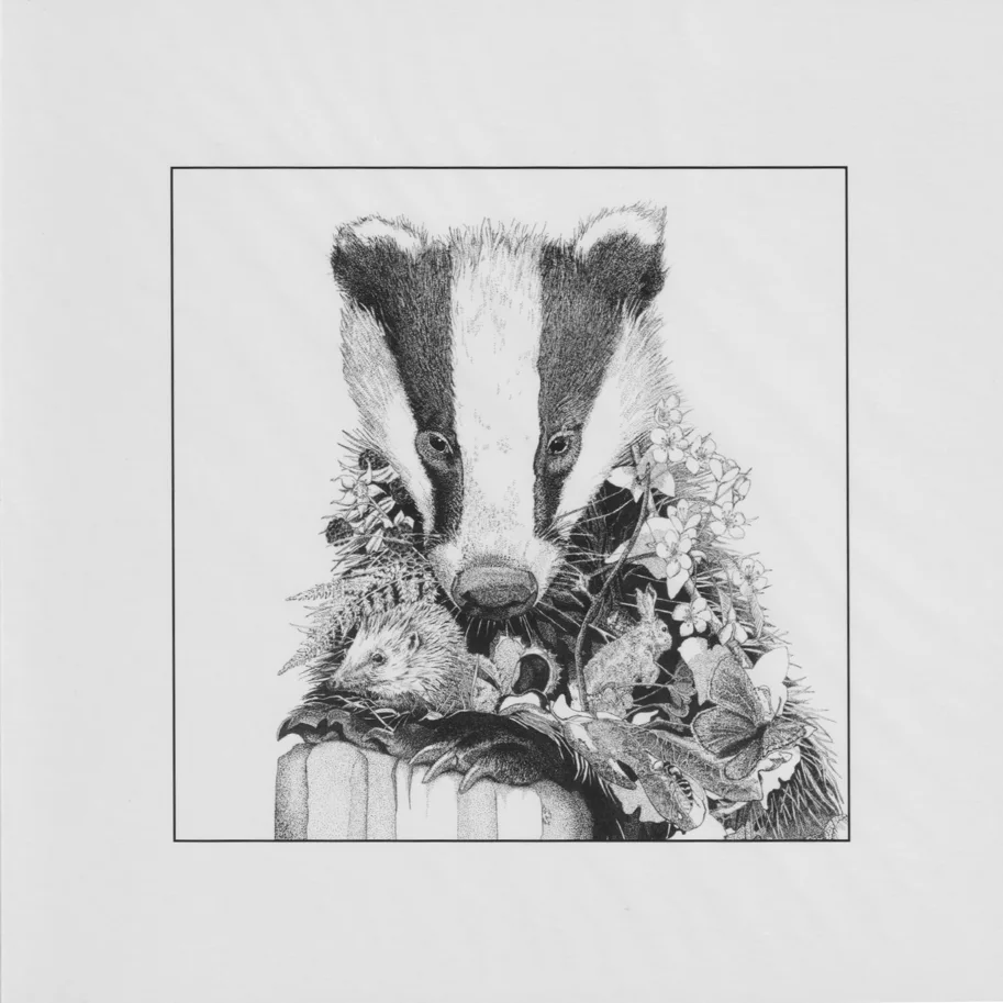 Klappkarte - Badger