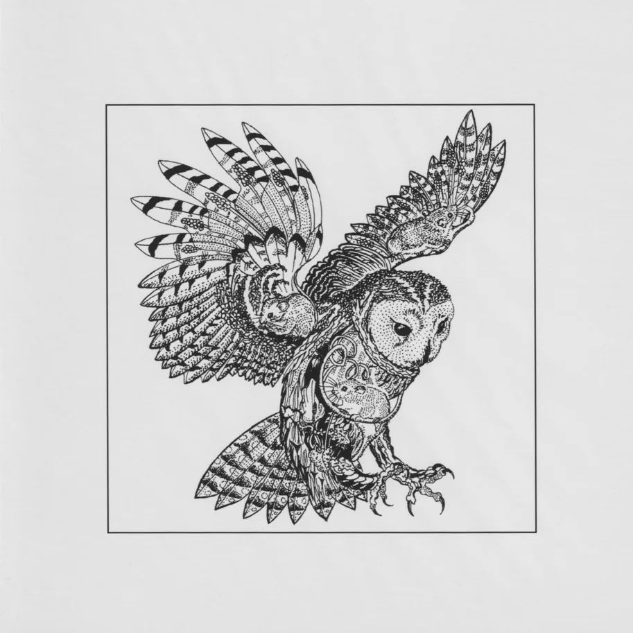 Klappkarte - Owl