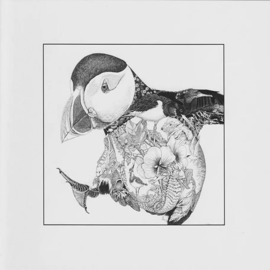 Klappkarte - Puffin