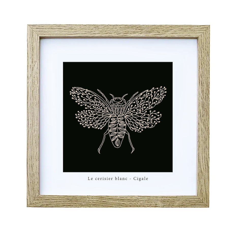 Print mit Rahmen - Zikade