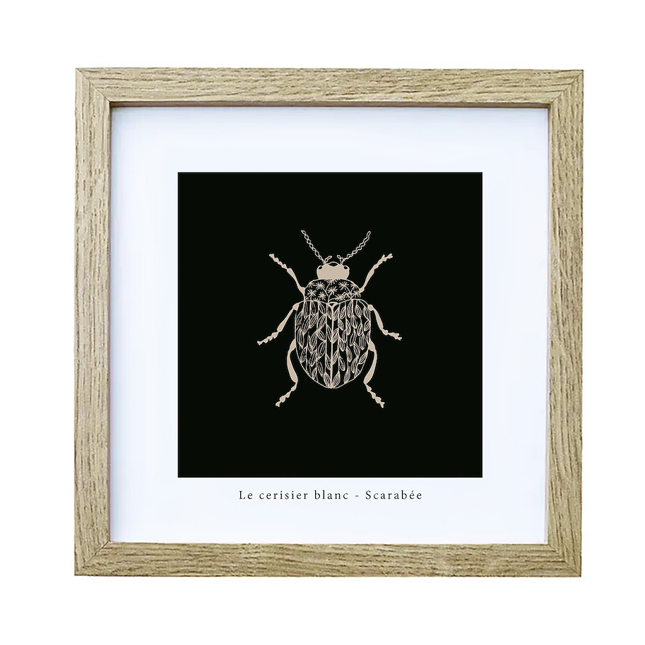 Print mit Rahmen - Skarabäus