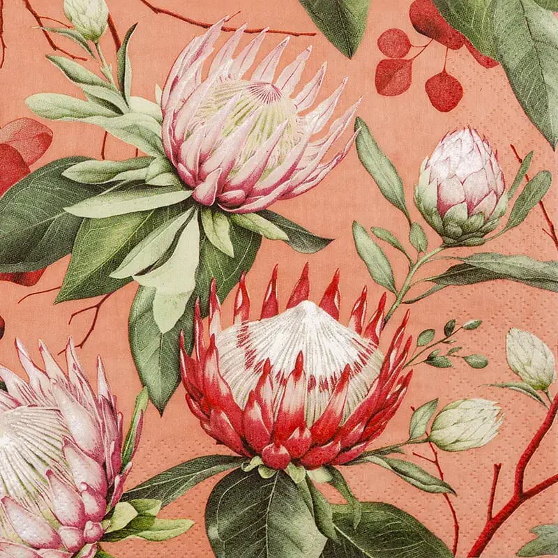 Servietten - Madiba Protea coral