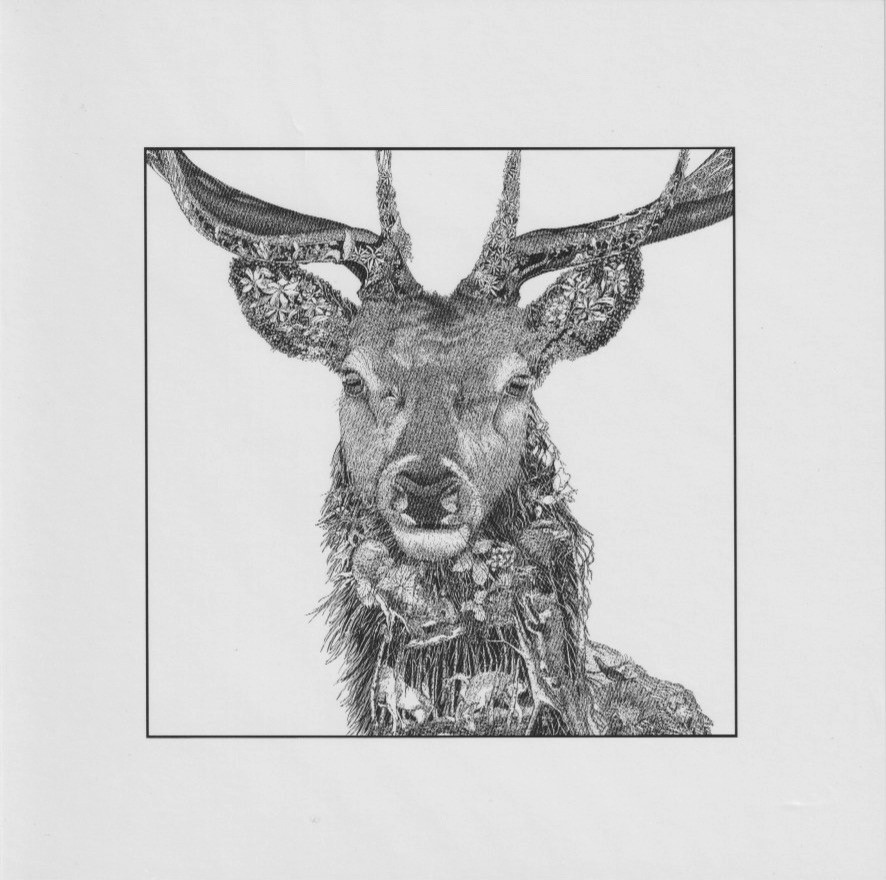 Klappkarte - Hirsch